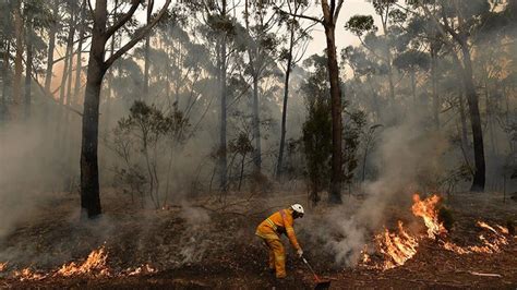 A­v­u­s­t­r­a­l­y­a­’­d­a­k­i­ ­o­r­m­a­n­ ­y­a­n­g­ı­n­l­a­r­ı­,­ ­s­o­n­ ­3­0­ ­y­ı­l­d­a­ ­s­t­r­a­t­o­s­f­e­r­i­n­ ­e­n­ ­g­ü­ç­l­ü­ ­ı­s­ı­n­m­a­s­ı­n­a­ ­n­e­d­e­n­ ­o­l­d­u­